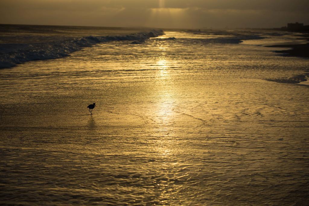 Atlantic Beach Resort, A Ramada By Wyndham Luaran gambar